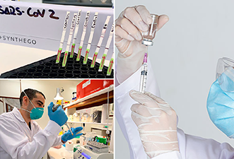 Tres iniciativas de pruebas moleculares para diagnóstico covid-19 de la UPCH siguen en camino
